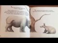 Remy The Rhino