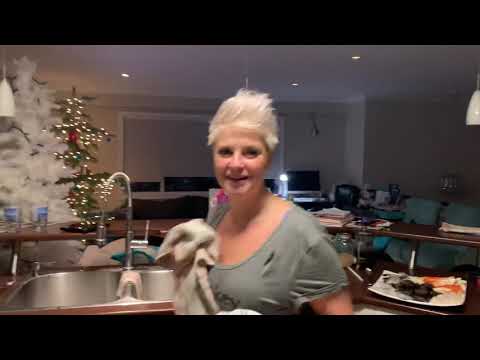 World’s Easiest Yeast Bread Recipe - Artisan, No Knead  reveal after 30 minutes baking covered