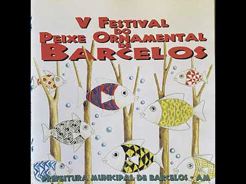 Barcelos Amazonas Brasil 