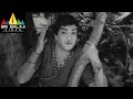 Alibaba 40 Dongalu Telugu Movie Part 5 15 NTR Jayalalitha Sri Balaji Video