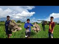 หาอยู่หากินใช้ชีวิตแบบบ้านๆ
