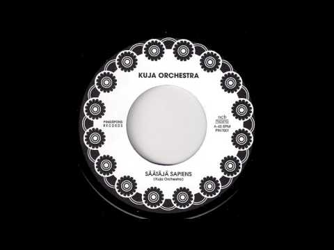 Kuja Orchestra - Saataja Sapiens [Pingispong] 2003 Jazz Funk 45