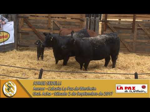 02-09-17 Nota Jorge Sedelli - Cabaña La Paz de Werthein - Gral. Acha