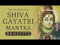 Benefits of Chanting Shiva Gayatri Mantra | How To Chant Shiva Gayatri Mantra?