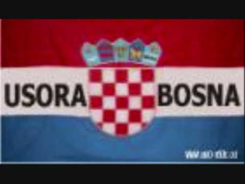 Bracini Becari - Usora