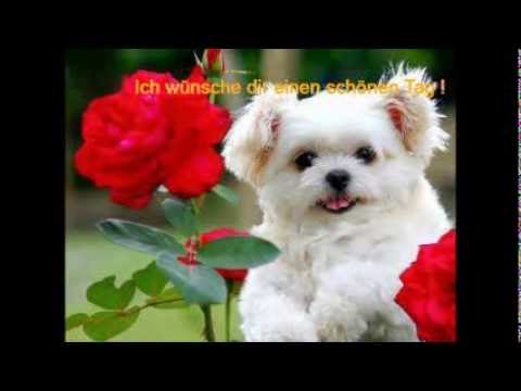 Richtig gute Freunde