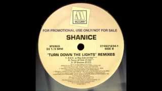 SHANICE - TURN DOWN THE LIGHT(LP VERSION)