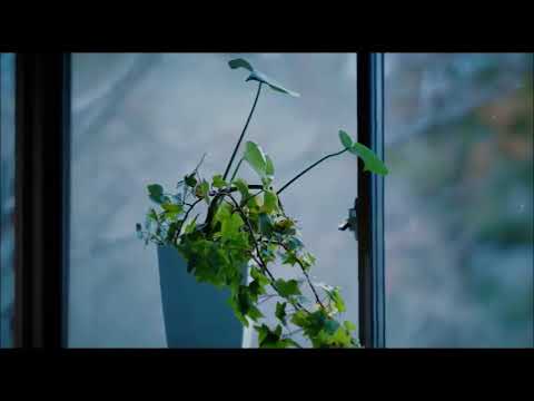 Тэнүүн - Үүрийн цолмон /үгтэй/