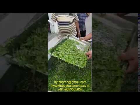 0.75 KW Leafy Vegetable and Fruits Washing Machine