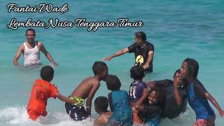 preview picture of video 'Pesona Pantai Wade Lembata Nusa Tenggara Timur'