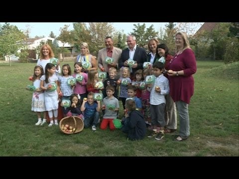 Jausenboxen Aktion des AWS in Zwölfaxing