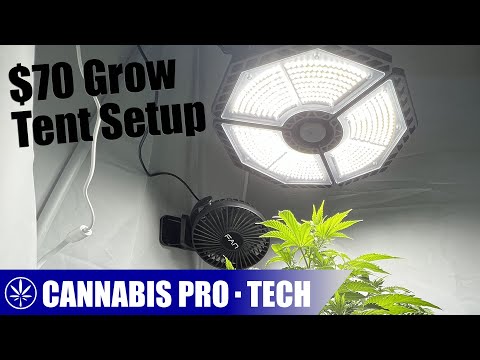 Building the CHEAPEST Grow Tent Setup Possible