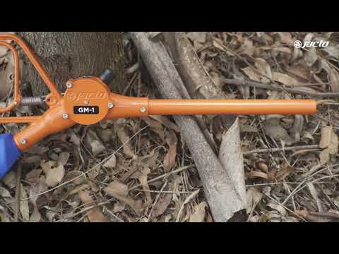 video_55261855-156f-4b9a-8a80-0456d99111d9