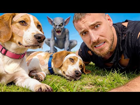 DREKAVAC JE UBIO NAŠE PSE?