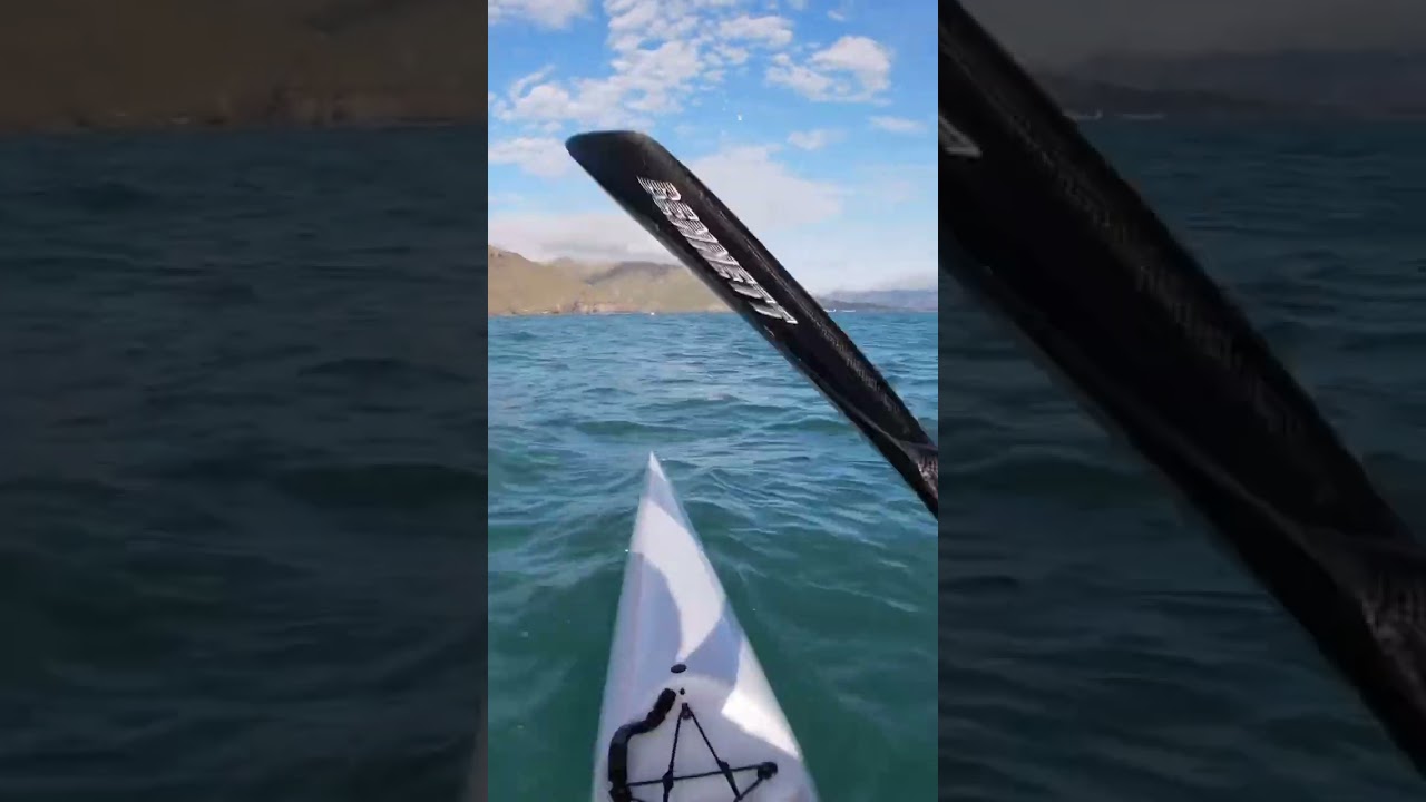 Super fast paddling ✌️