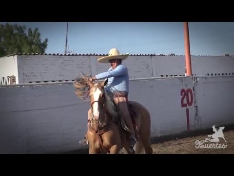 ¡Increible entraron 9 de 9 piales final Vallarta 2016!