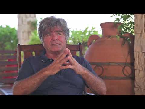 La storia dell' ape nera sicula, un' ape speciale ritrovata, salvata e reintrodotta