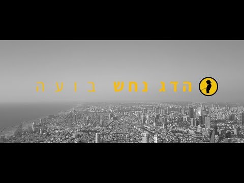 Video thumbnail for Bu’ah - בועה