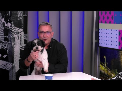 Heti Libazsír – Sváby András