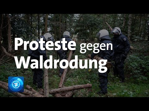 Ausbau der A49 in Hessen: Proteste gegen Rodung von Waldgebiet