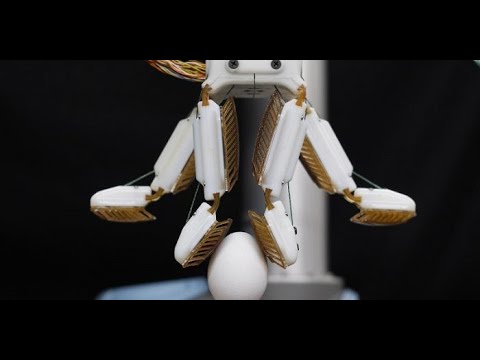 Mark Cutkosky, Wilson Ruotolo, Dane Brouwer "Robotic Hand With A Gecko-Like Grip"