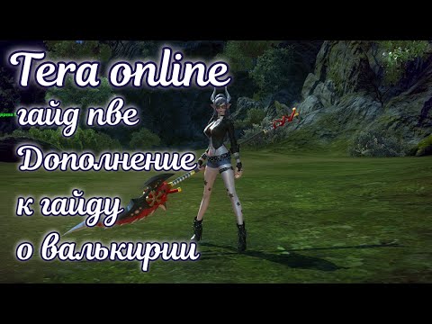 Гайд тера лансер