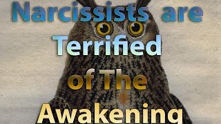Narcissists are Terrified of The Awakening