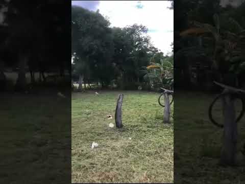 Se Vende Linda Propiedad en Belén de Carrillo, Guanacaste