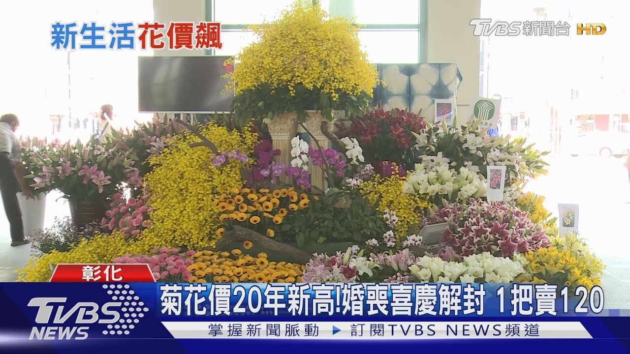 菊花價20年新高!婚喪喜慶解封 1把賣120