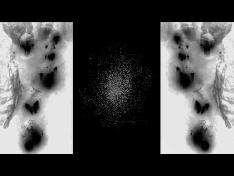 Ilia Gorovitz - Choose Your Idol