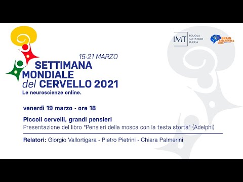 Piccoli cervelli, grandi pensieri | Settimana Mondiale del Cervello 2021