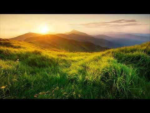 Laid Back Acoustic Guitar Background Music - Relax Guitar Instrumental for Studying