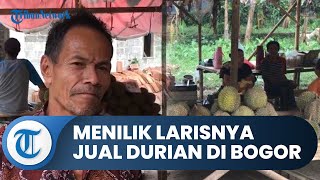 Bogor Hari Ini: Menilik Kampung Durian di Bogor yang Diserbu Pembeli, Pedagang Bisa Jual 400 Buah