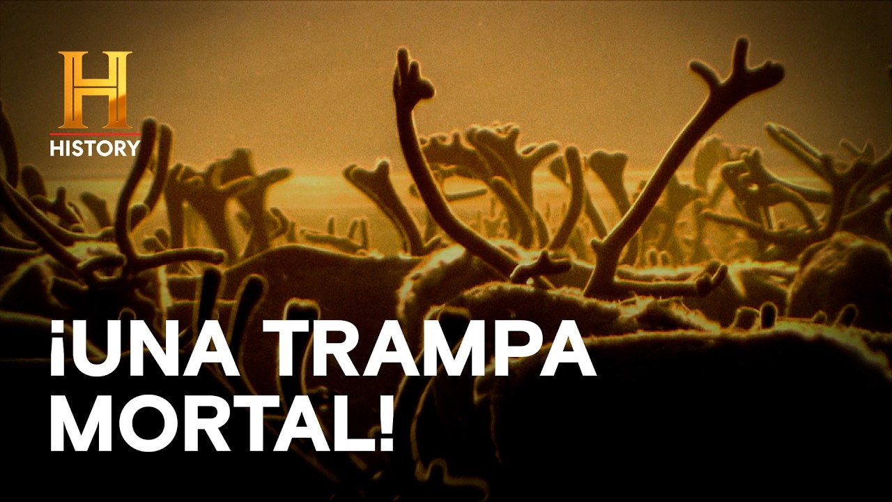 ¡DESENTERRARON UNA TRAMPA MORTAL! 💀⚠️ Misterios inexplorados con Danny Trejo