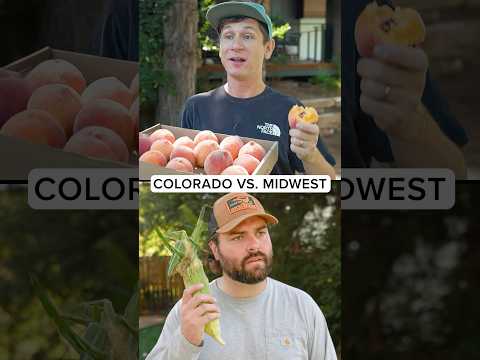 Colorado vs The Midwest ft. @DudeDad