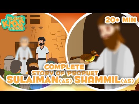 Prophet Stories In English | Prophet Shammil (AS) & Prophet Sulaiman (AS) Compilation