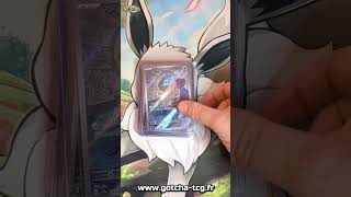 Pokemon cartes en loose ou gradation / pregradation ?