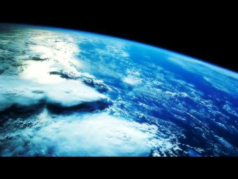 System - True Loyalty