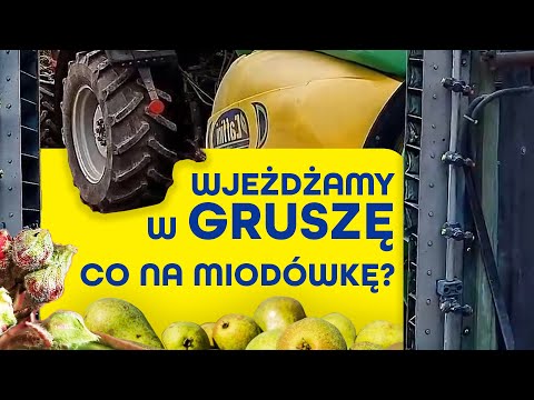 Co stosować na miodówkę, wzdymacza gruszowego i bakterię Pseudomonas?