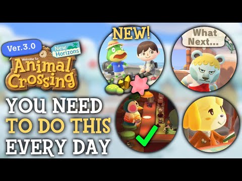 You Need To Do THIS Every Day In 3.0 Update - Animal Crossing New Horizons