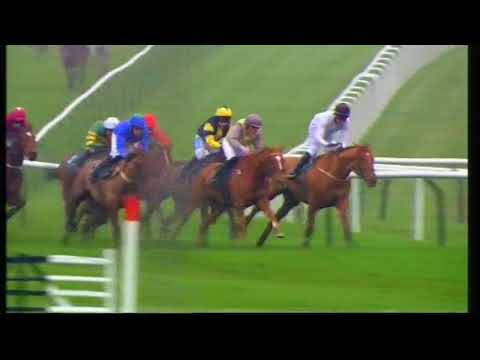 2012 Fulke Walwyn Kim Muir Challenge Cup - Cheltenham Festival