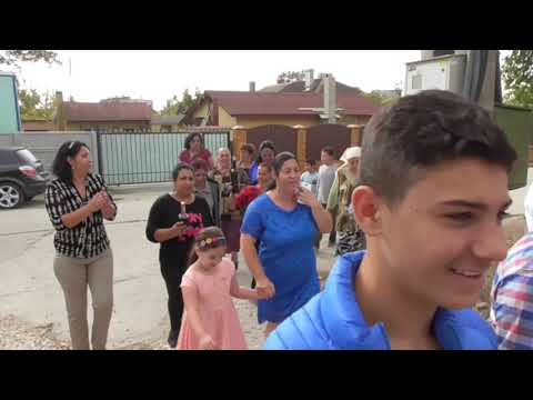 DVD 1  .Mihai amzacea