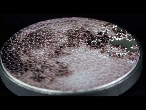 Moon Puzzle 1oz 999 Fine Silver Collectible Coin