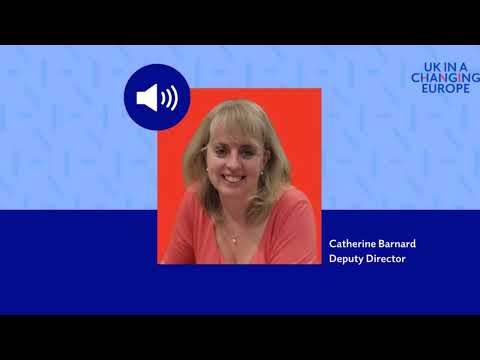 Catherine Barnard on LBC: What the retained EU law (revocation and reform) bill means for the UK