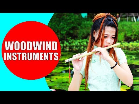 子供向け木管楽器 - 木管楽器の音色とデモンストレーション | 木管楽器ファミリー (Woodwind Instruments for Children - Woodwind Instruments Sounds and Demonstration | Woodwind Family)