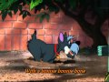 Lady And The Tramp Jock S Song