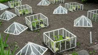 Winter Gardening Ideas and Inspiration