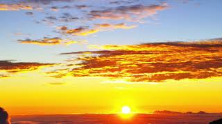 KranK - Biga Sunrise // Biga Ranx - My face Remix Jungle