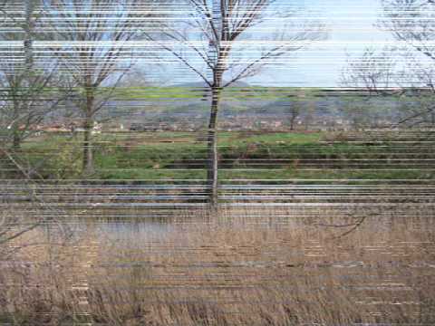 DAMIR TOPIĆ - ČIKOLA