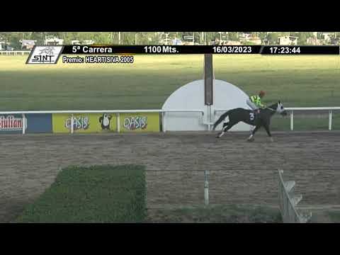 CARRERAS SINT PAYSANDU 230316 c05 - 1° BRITISH STRONG